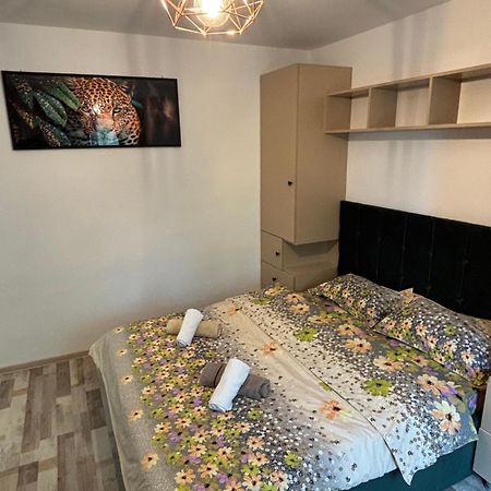 Select Apartament Bvd Stefan Cel Mare Ιάσιο Εξωτερικό φωτογραφία
